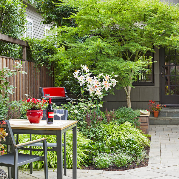 small garden with trees