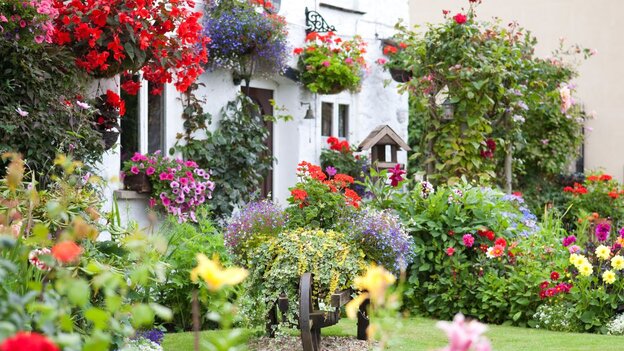 English garden fragrant plants example