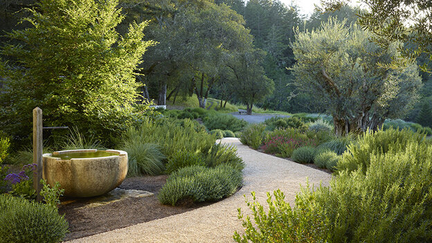 mediterranean garden with gravel path