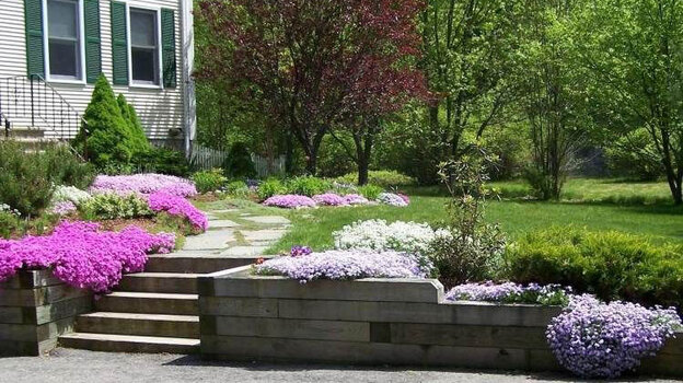 Garden with ground cover