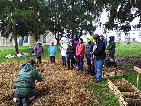 Photo plantation avec Mini Big Forest