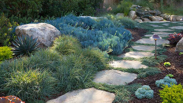 Landscape design element: texture