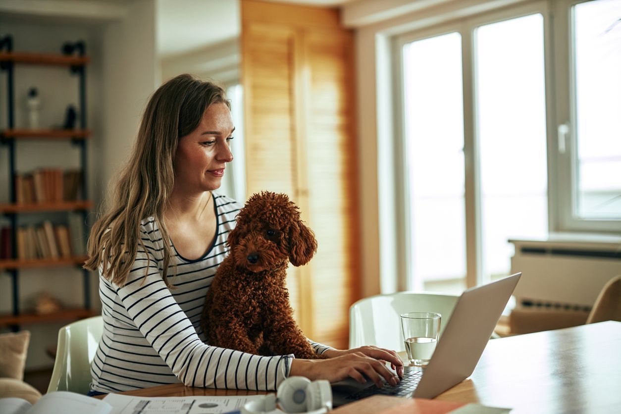 Smart product suggestions for easier prescribing - A woman sits at a desk in front of her laptop with a poodle in her lap