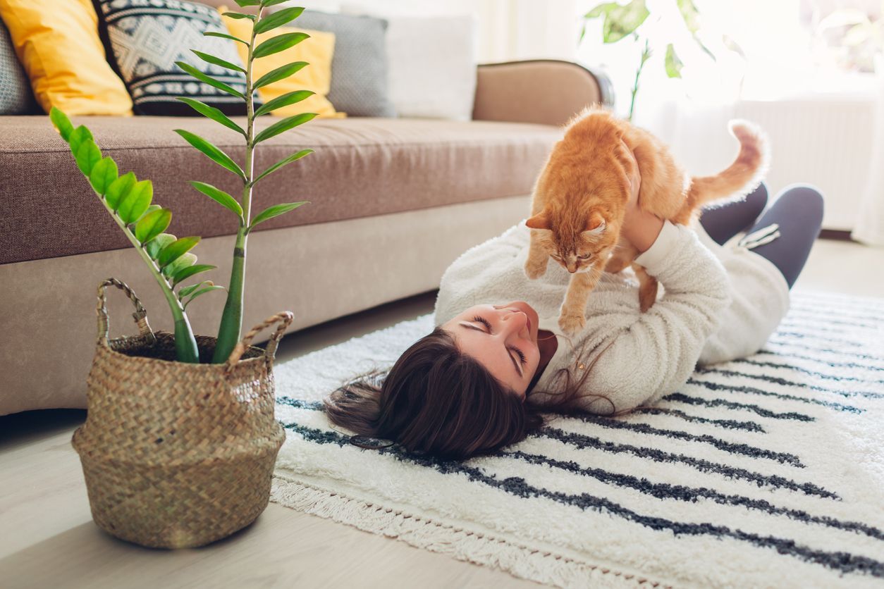 How to include your cat in your exercise routine  - woman playing with cat