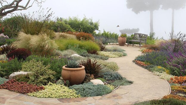 xeriscaping example