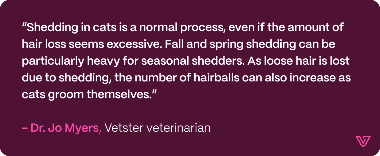 Quote from Joy Myers: Cat shedding is normal, although often heavy. Heavy shedding can lead to increased hairballs.