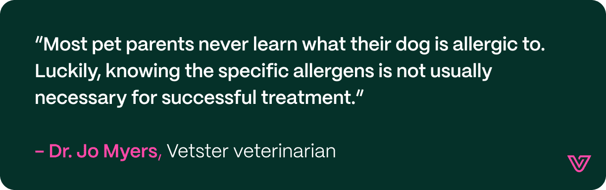 Quote from Jo Myers, saying vets don't necessarily need to know the cause of an allergy to treat it.