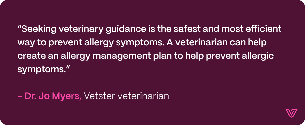 Quote from Jo Myers where she emphasizes how important vet-help is for preventing allergy symptoms in dogs.