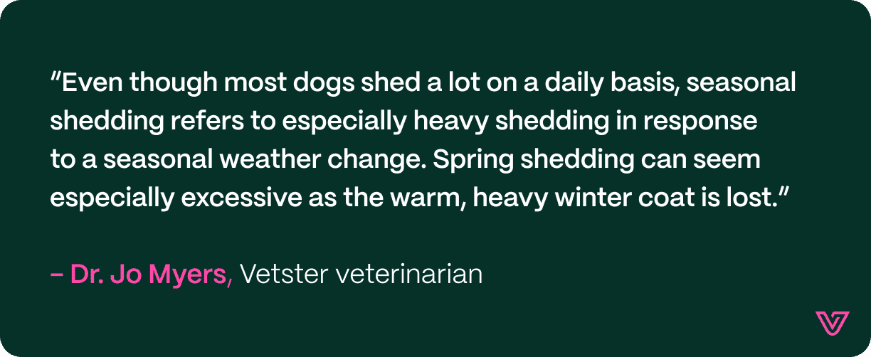 Quote from vet Jo Myers stating that "though dogs shed daily, seasonal shedding is specifically tied to seasonal weather changes."