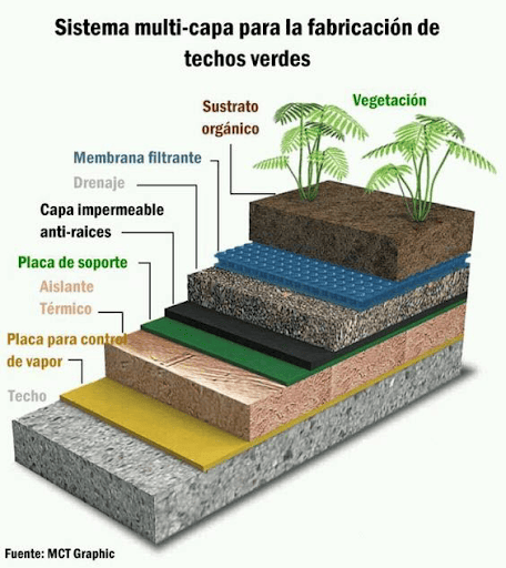 capas de techos verdes