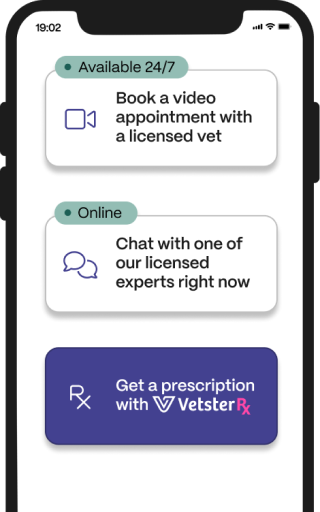 Vet app for video appointments, chat, and prescriptions